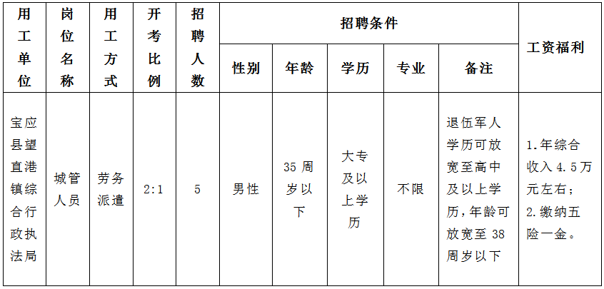 招聘崗位條件簡介表