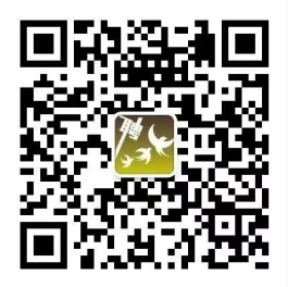 二維碼