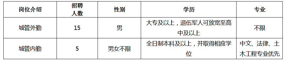 具備崗位簡介表所要求的其他條件。