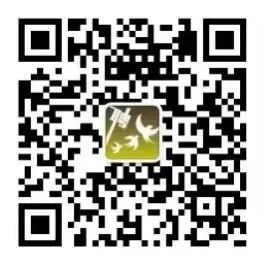 報(bào)名二維碼