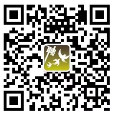 報名方式