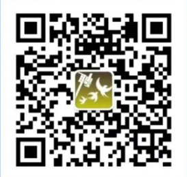 微信掃描上方二維碼