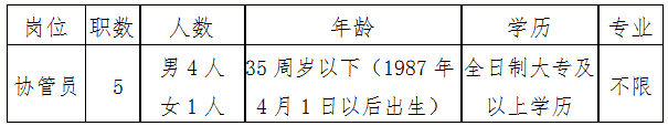 招聘崗位、職數及條件 