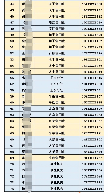 2025年藤縣農信社寒假社會實踐生名單公布